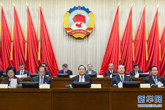 全国政协十二届常委会第十三次会议举行大会发言