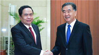 汪洋会见越南祖国阵线中央主席陈青敏