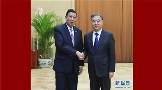 汪洋会见泰国立法议会主席