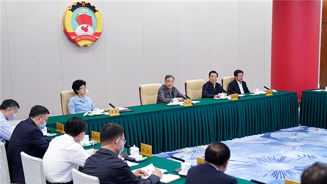 全国政协召开网络议政远程协商会 汪洋主持