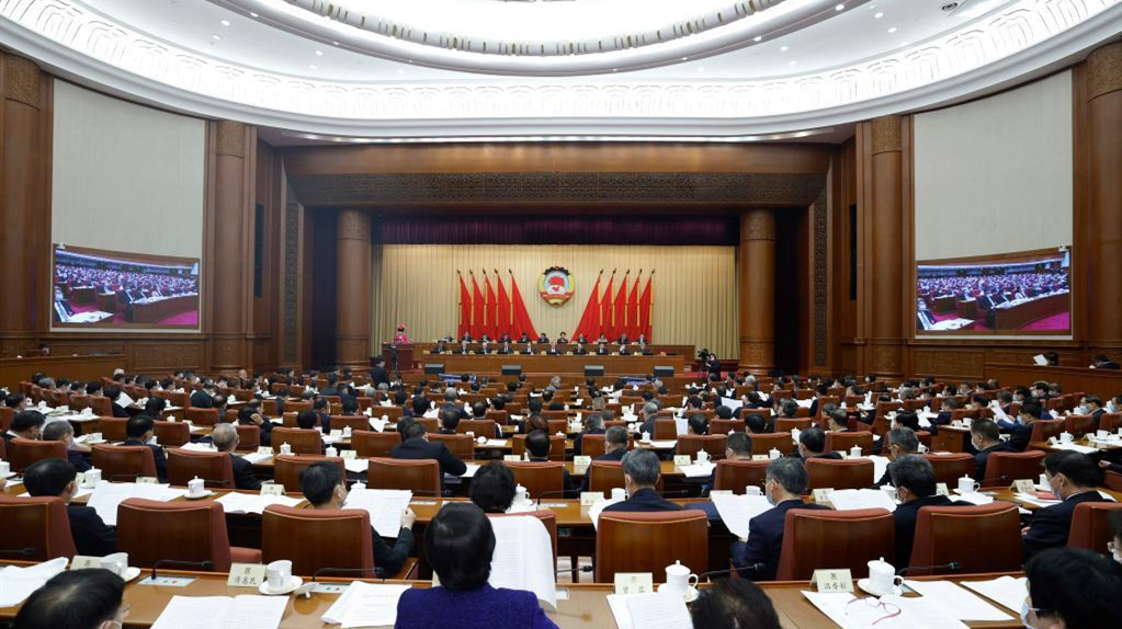 全国政协十三届五次会议举行视频会议 汪洋出席 12名委员作大会发言