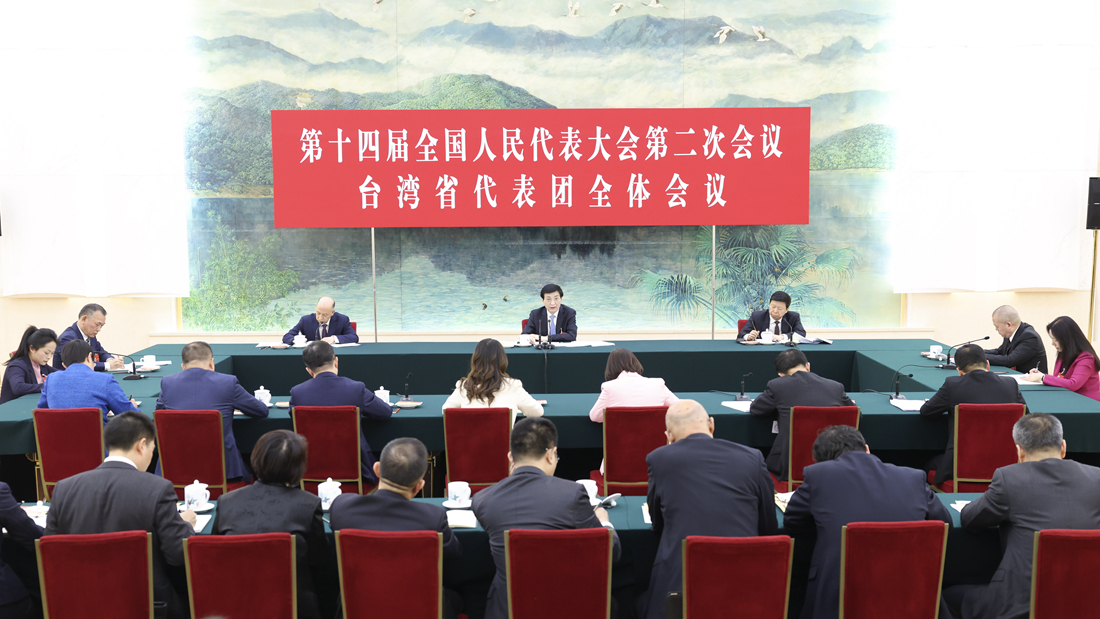 王沪宁参加台湾代表团审议