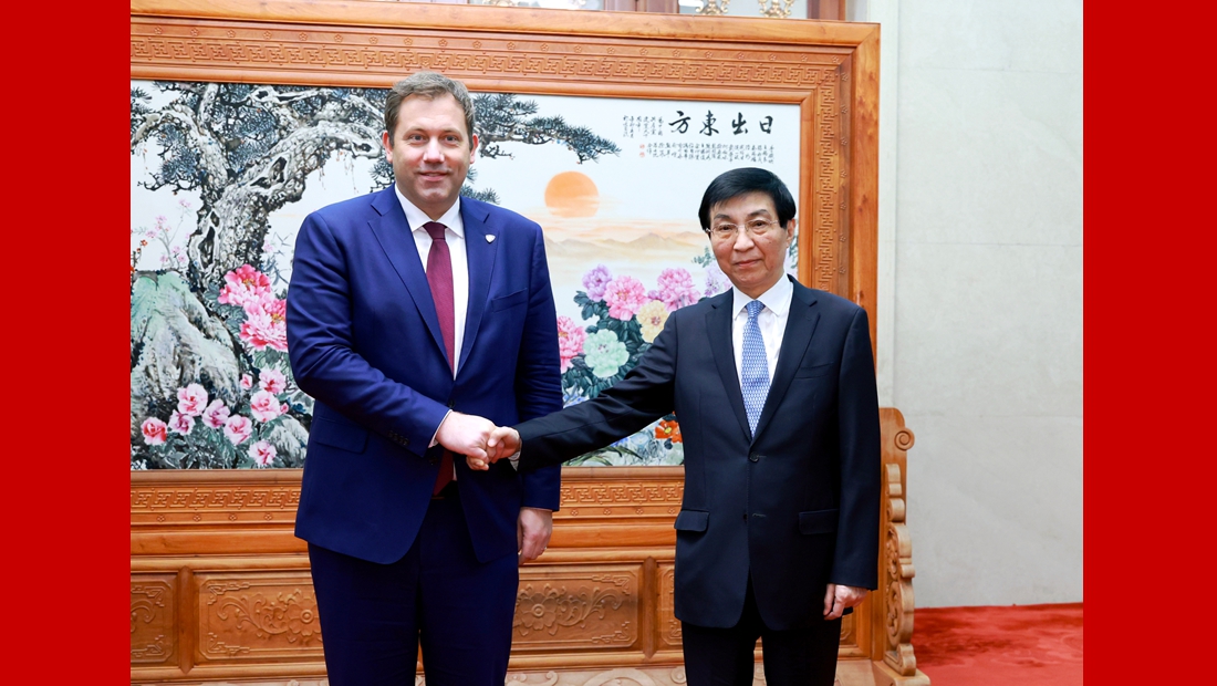 王沪宁会见德国社民党代表团