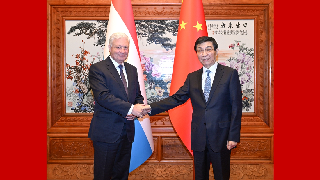 王滬寧會見盧森堡國民議會議長維斯勒