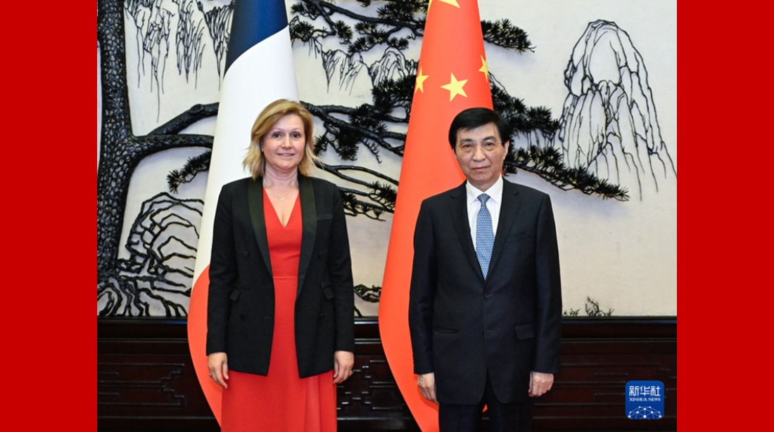 王沪宁会见法国国民议会议长布朗-皮韦
