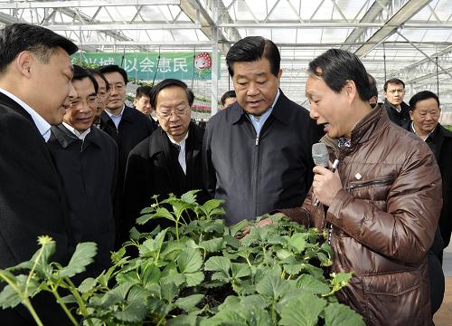 2月14日至15日，中共中央政治局常委、全国政协主席贾庆林在北京调研。这是2月14日，贾庆林在昌平区草莓博览园调研。新华社记者 饶爱民 摄